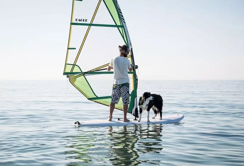 Fischland Ferienhäuser