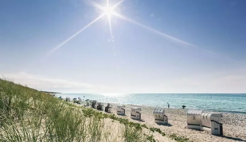 Fischland Ferienhäuser