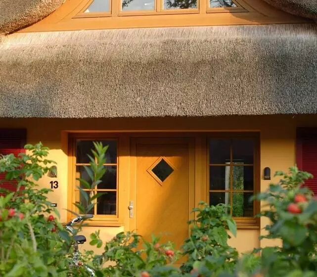 Fischland Ferienhäuser