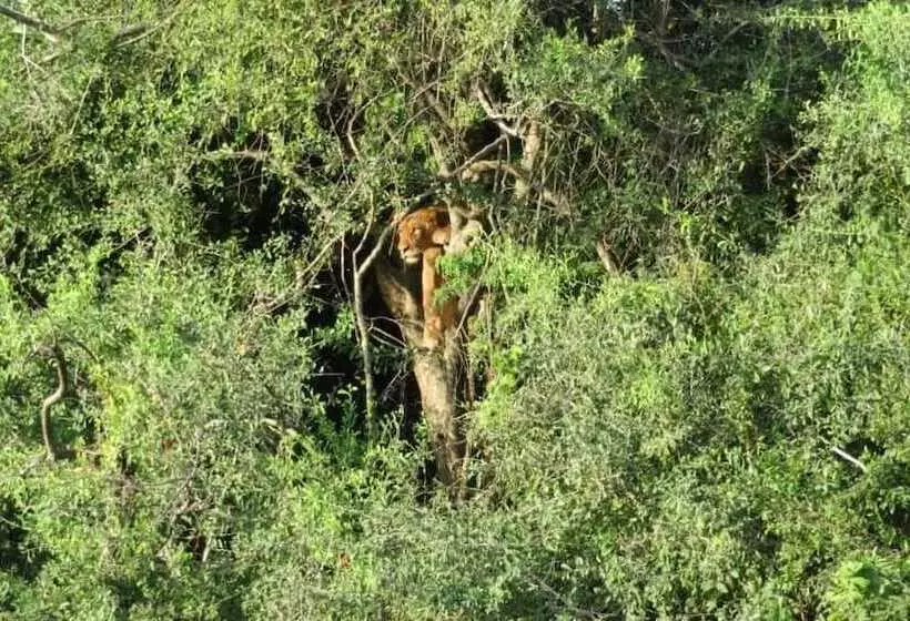 هتل Global Village