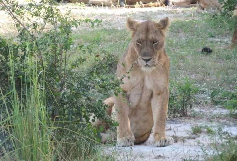 هتل Global Village