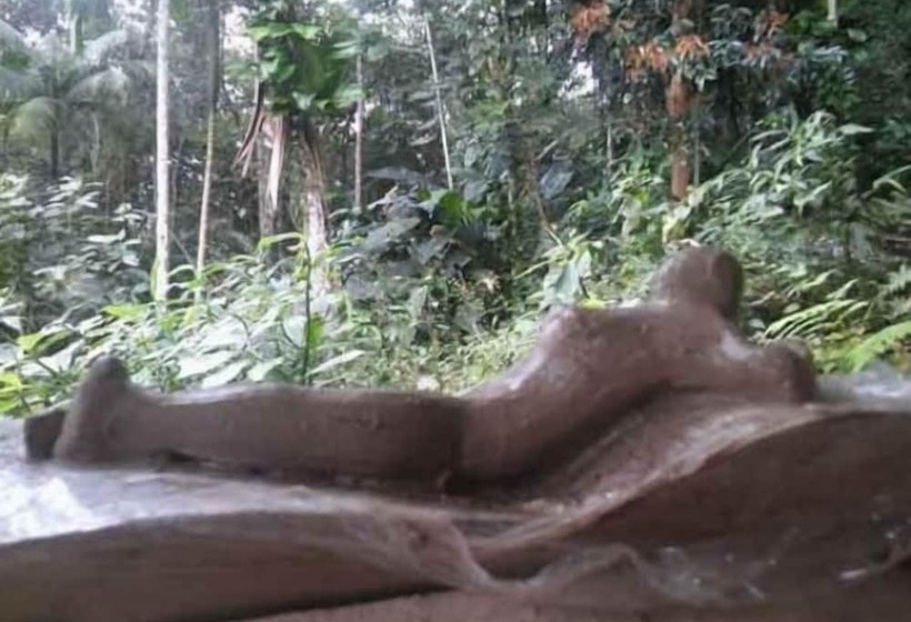 בית מלון כפרי Pousada Atelier Aly Da Costa