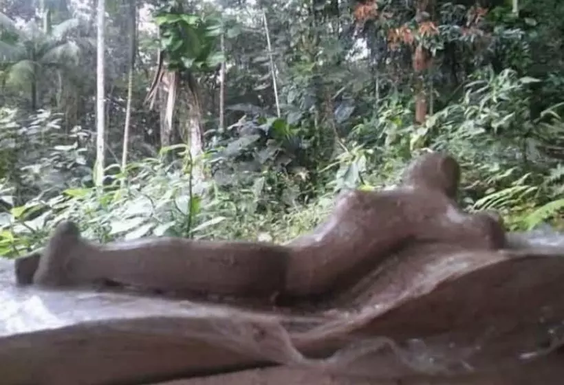 Hotelli Pousada Atelier Aly Da Costa