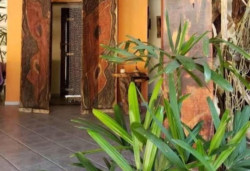 בית מלון כפרי Pousada Atelier Aly Da Costa