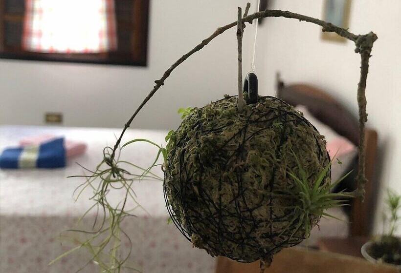 בית מלון כפרי Pousada Atelier Aly Da Costa