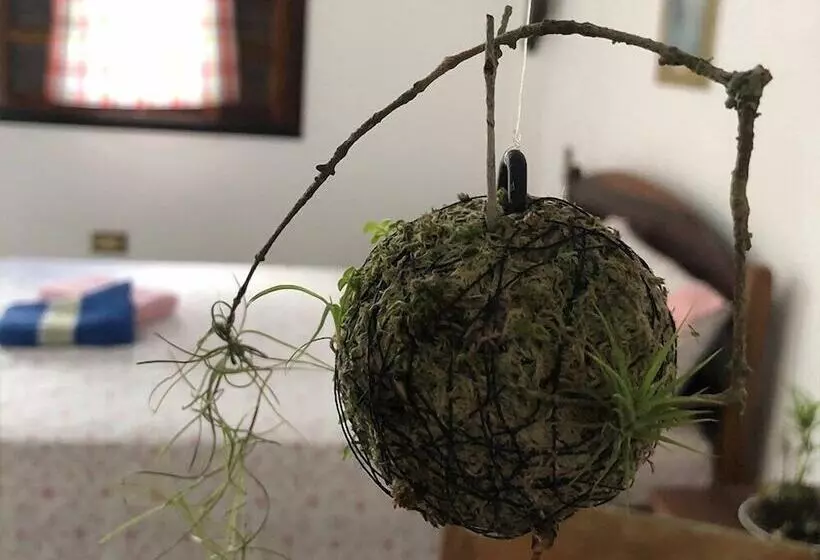 Hotelli Pousada Atelier Aly Da Costa