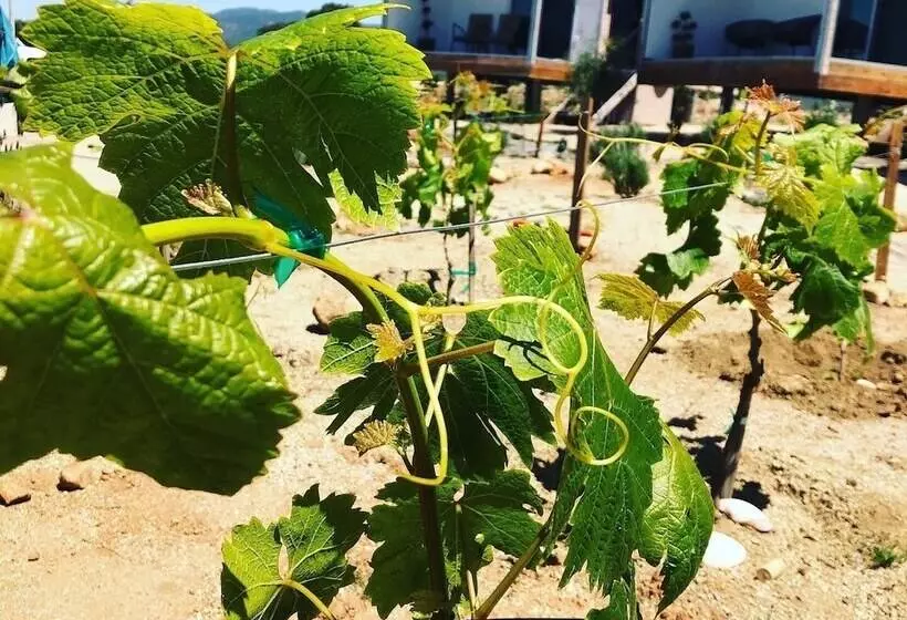 هتل Rincón Del Corazón