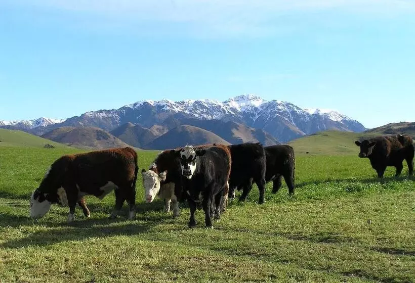田舎風ホテル Pahau Downs High Quality Farmstay