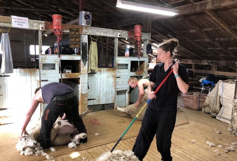 교외 호텔 Pahau Downs