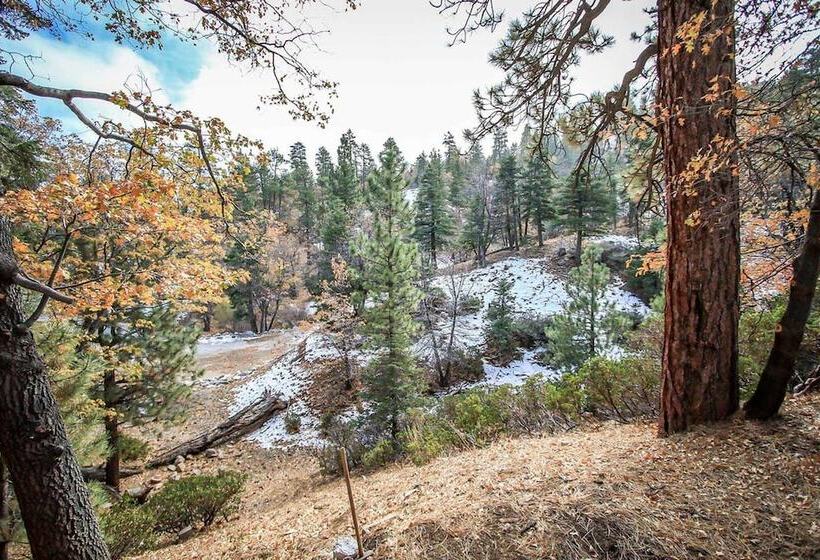 Summit Comfort 1571 By Big Bear Vacations