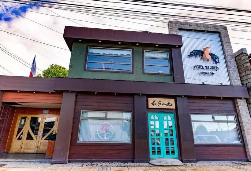 Общежитие Milodon