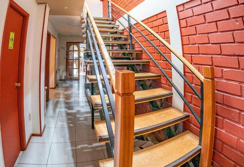 ユースホステル Milodon