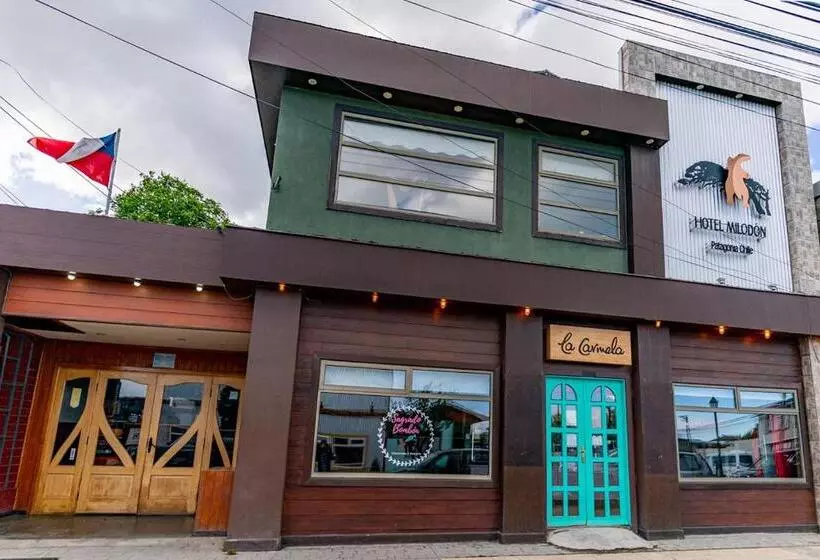 Общежитие Milodon