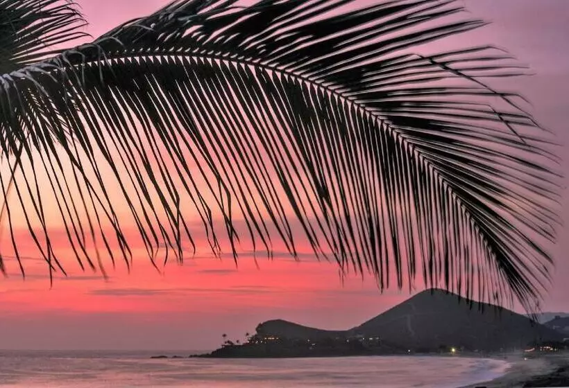 هتل Cerritos Beach Inn