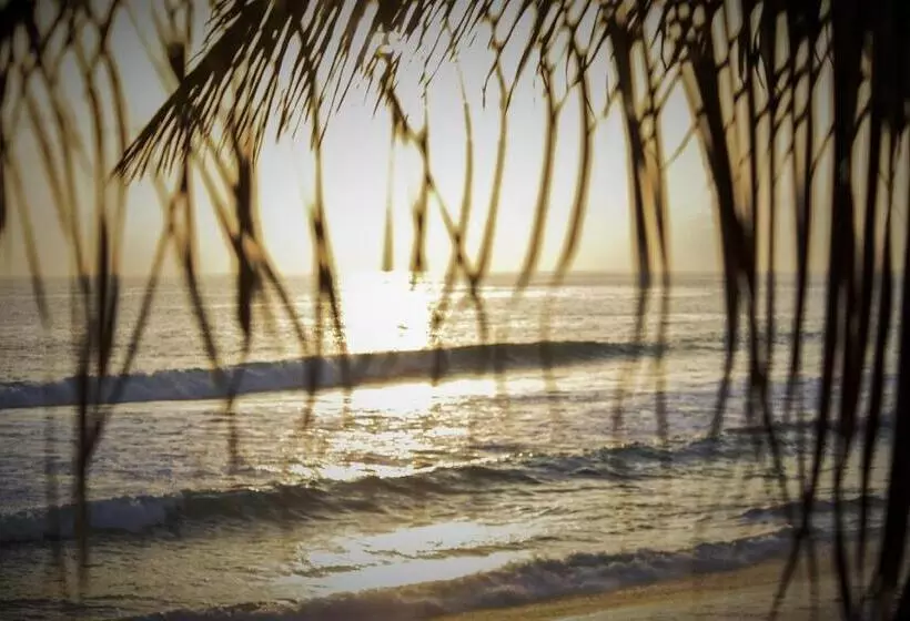 هتل Cerritos Beach Inn