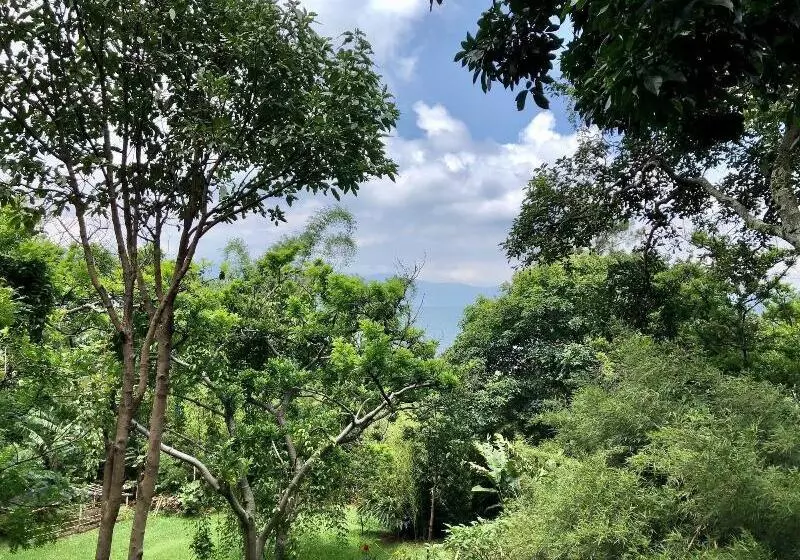 هتل Isla Verde