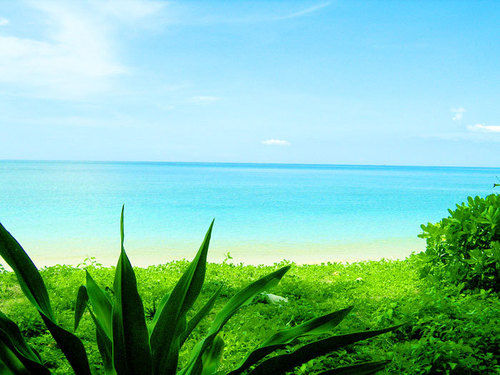 ホテル Tanamas House