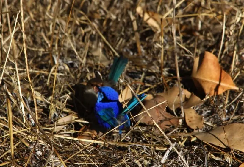 Hotelli Wildwood Valley