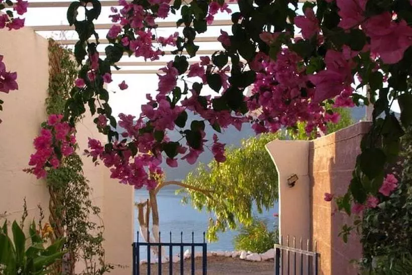 Michalis Studios