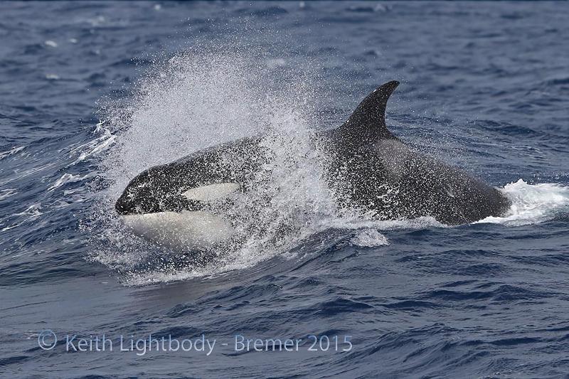 モーテル Bremer Bay Resort