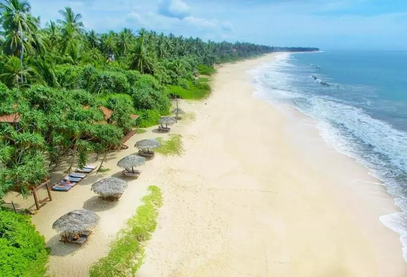 منتجع Good Karma