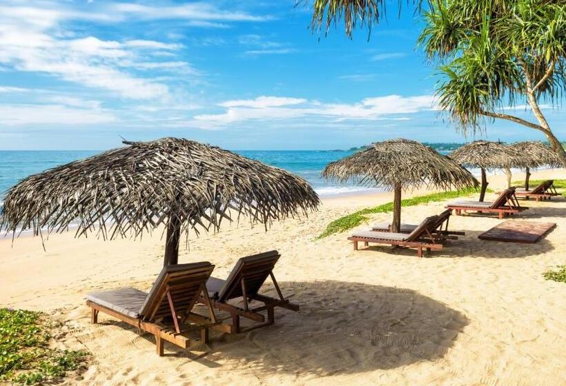 אתר נופש Good Karma