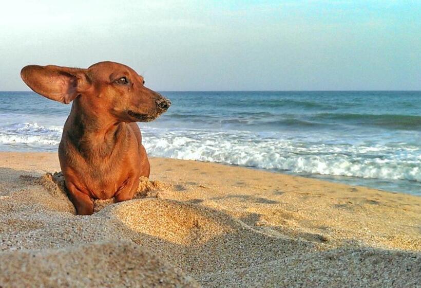 אתר נופש Good Karma