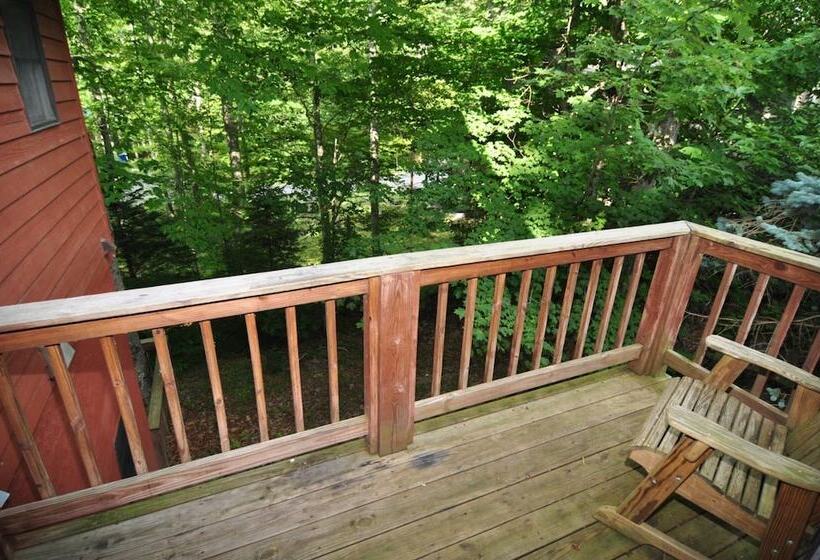 Bear`s Den Northface