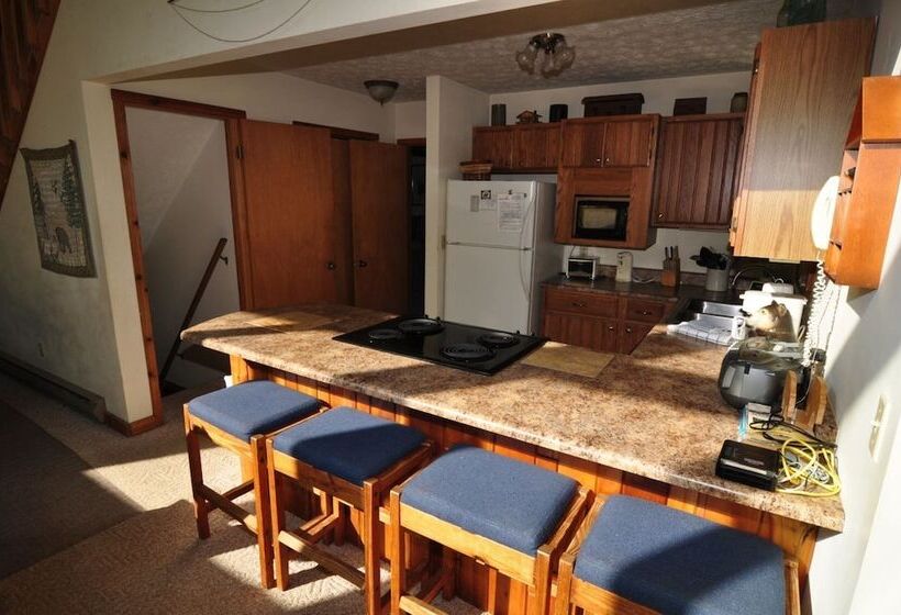 Bear`s Den Northface