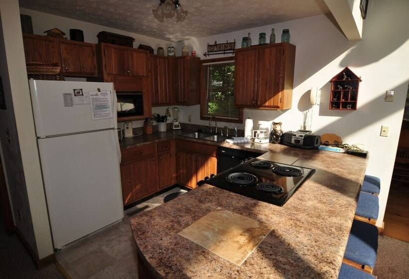 Bear`s Den Northface