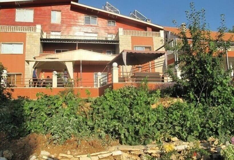 تختخواب و صبحانه Alpine Hotel Cedars