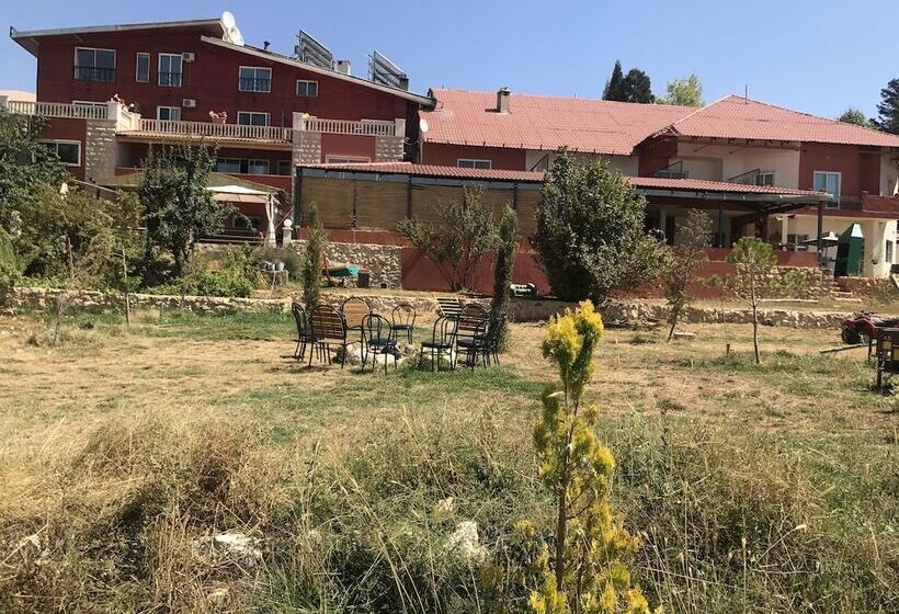 تختخواب و صبحانه Alpine Hotel Cedars