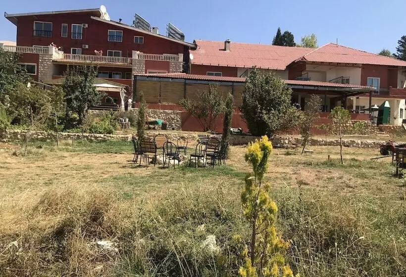 تختخواب و صبحانه Alpine Hotel Cedars