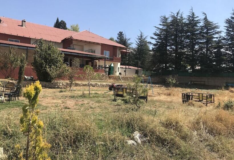 تختخواب و صبحانه Alpine Hotel Cedars