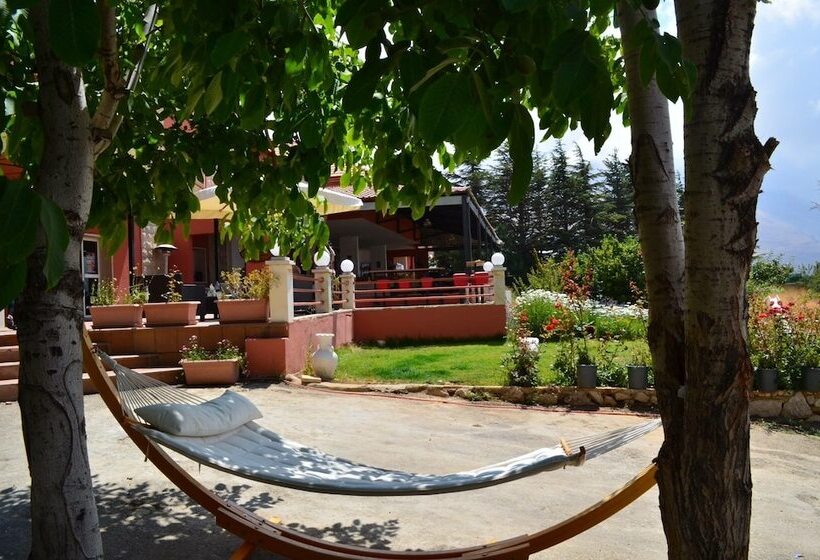 تختخواب و صبحانه Alpine Hotel Cedars