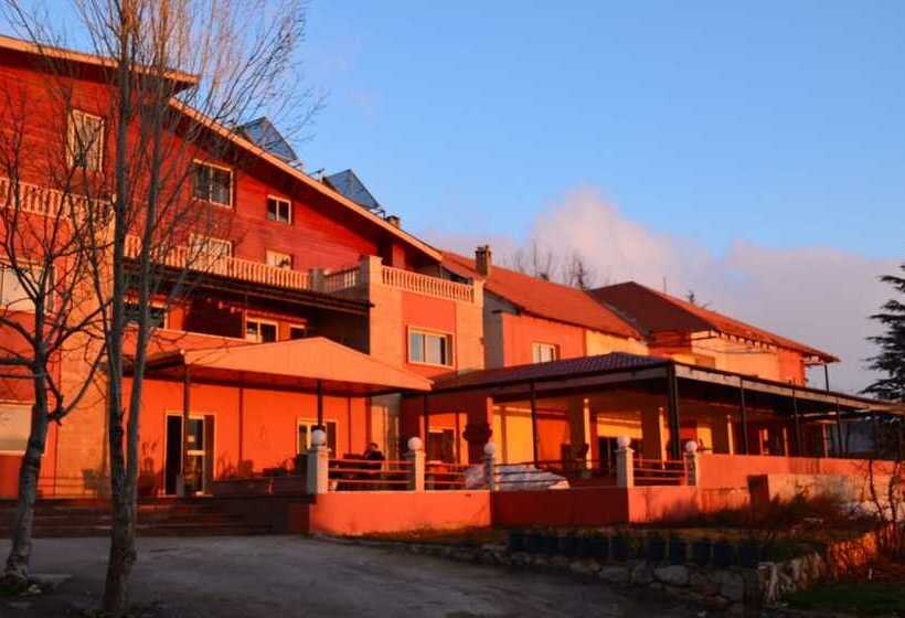 تختخواب و صبحانه Alpine Hotel Cedars