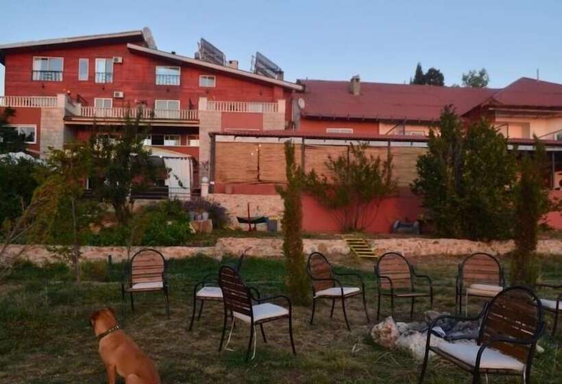 تختخواب و صبحانه Alpine Hotel Cedars