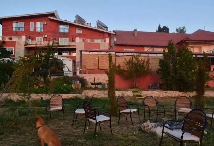 تختخواب و صبحانه Alpine Hotel Cedars