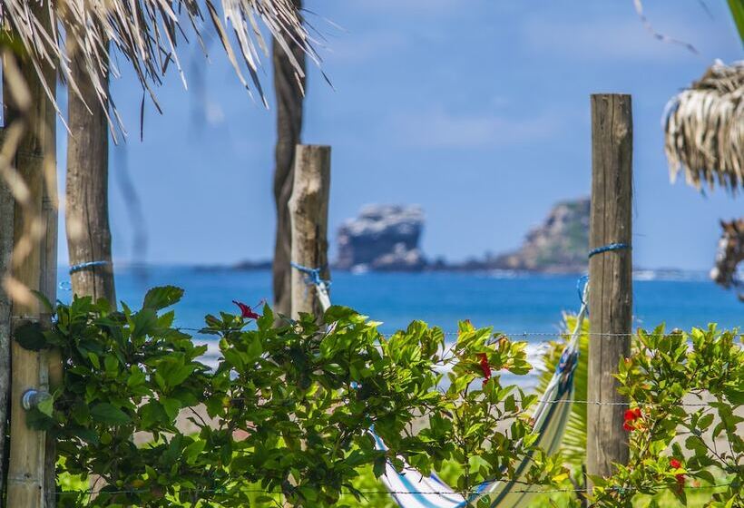 Bed and Breakfast Ayampe Guest House