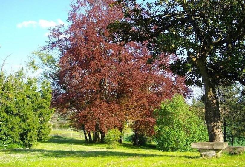 ベッドアンドブレックファースト Chateau Des Touches