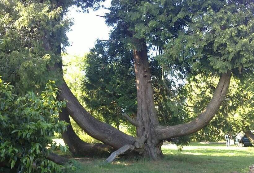 צימר Chateau Des Touches