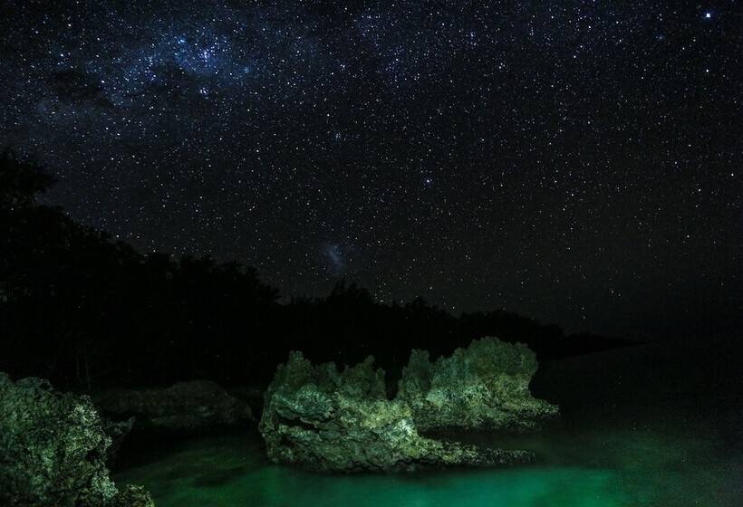 تختخواب و صبحانه Divi S Boutique Retreat