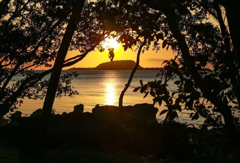 ベッドアンドブレックファースト Divi S Boutique Retreat