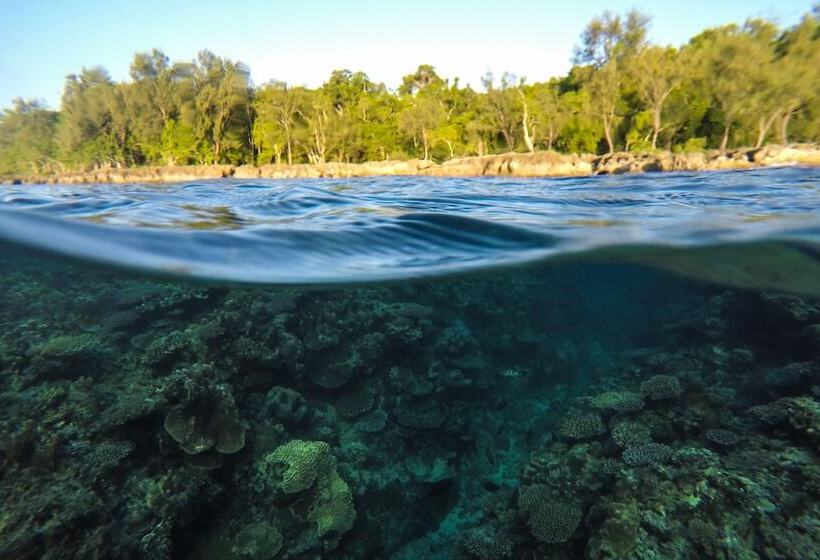 تختخواب و صبحانه Divi S Boutique Retreat