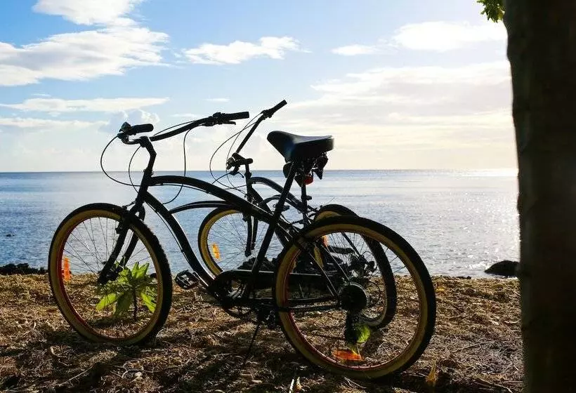 ベッドアンドブレックファースト Divi S Boutique Retreat