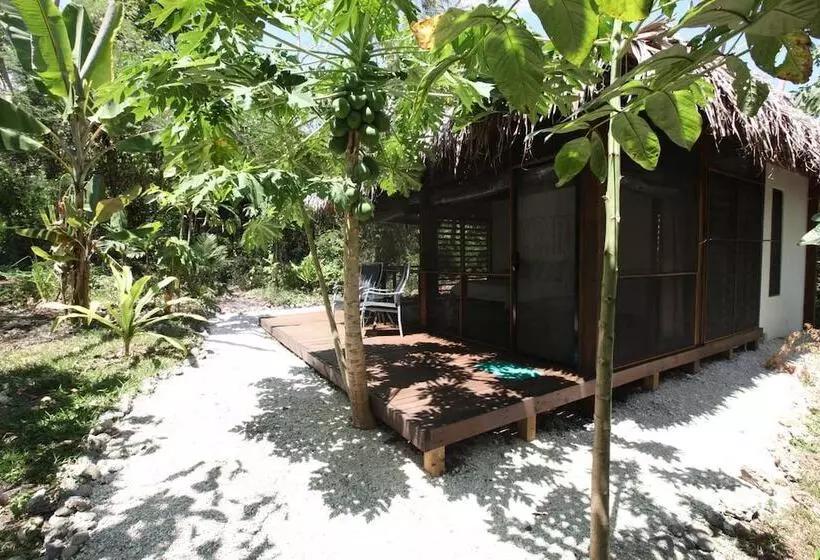 ベッドアンドブレックファースト Divi S Boutique Retreat