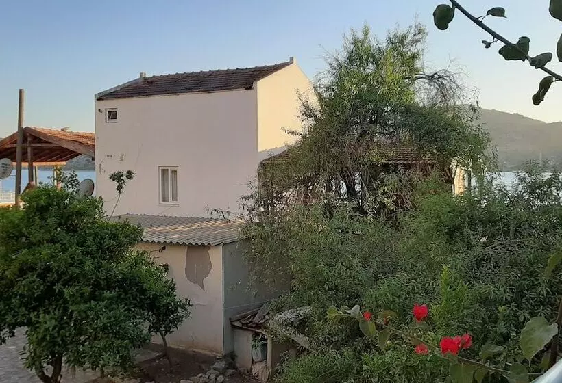 Buena Vista Hotel & Restaurant