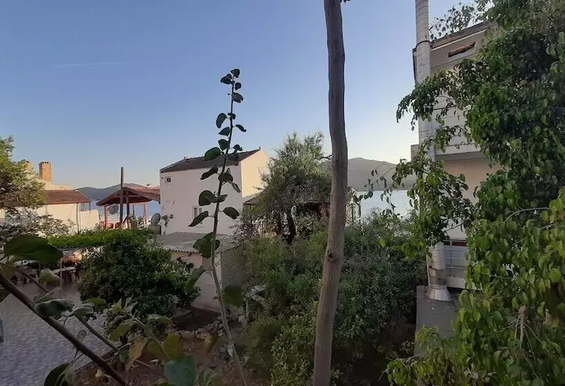 Buena Vista Hotel & Restaurant