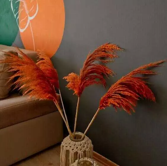 Buena Vista Hotel & Restaurant