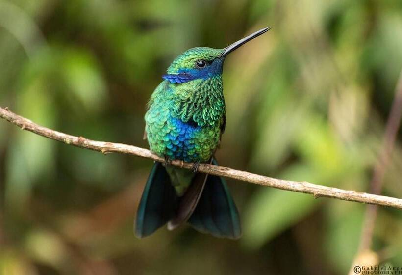 Fami Hotel Vive Jardin   Hostel